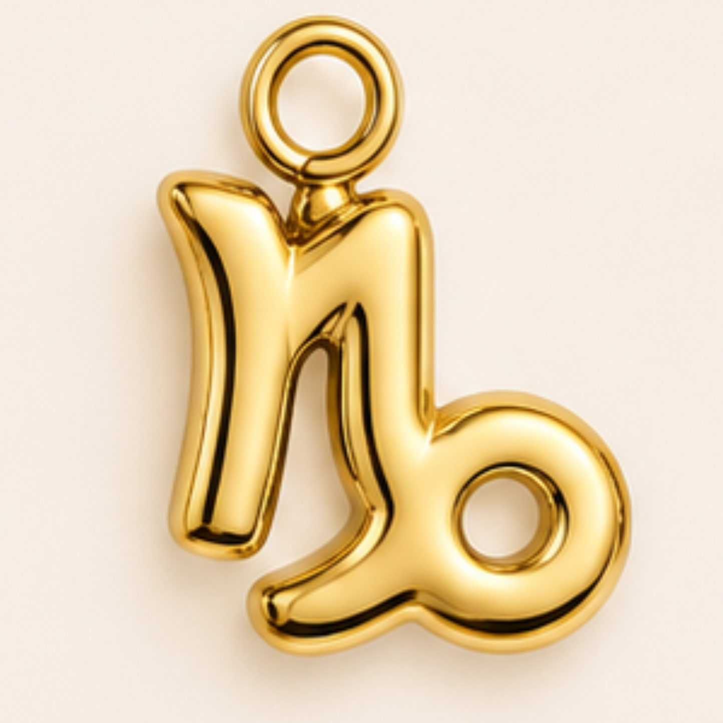 Zodiac Charms