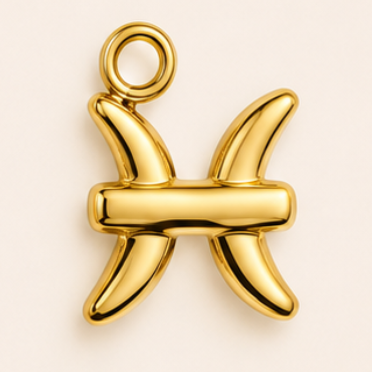 Zodiac Charms