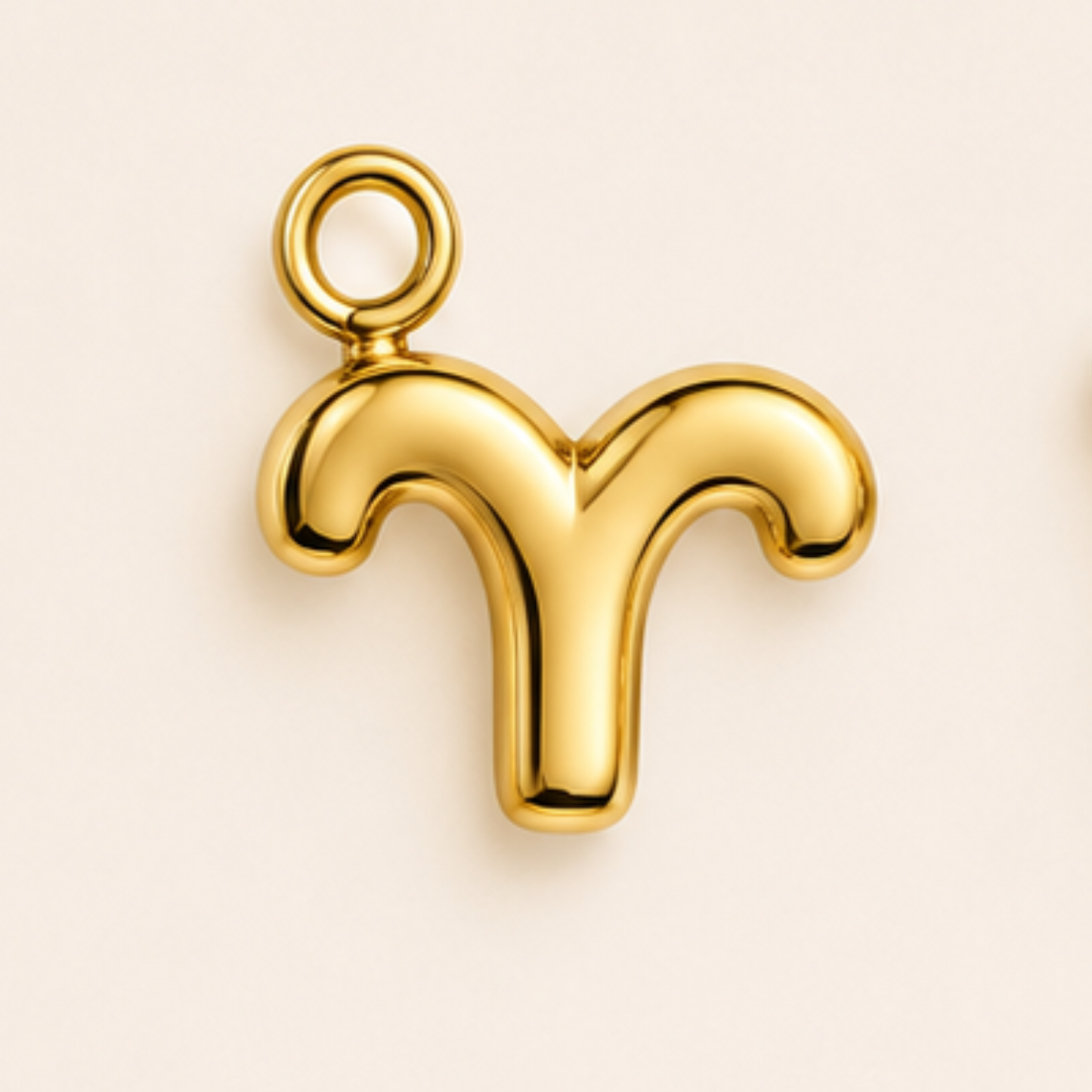 Zodiac Charms