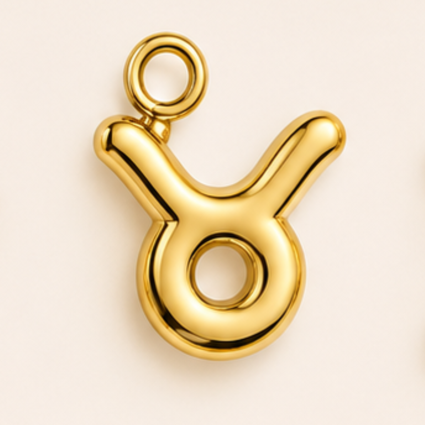 Zodiac Charms