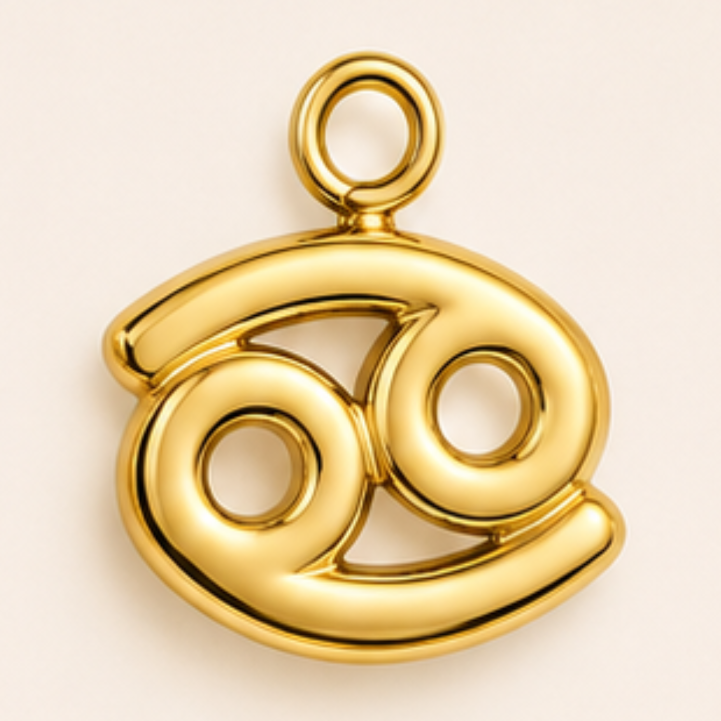 Zodiac Charms