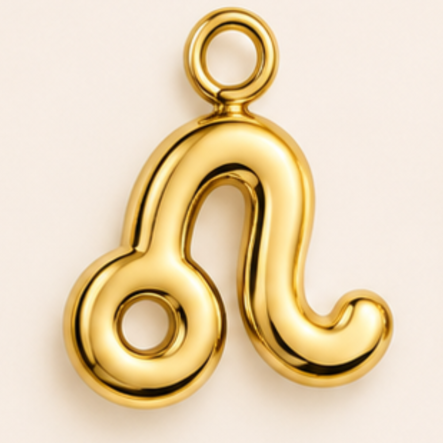 Zodiac Charms