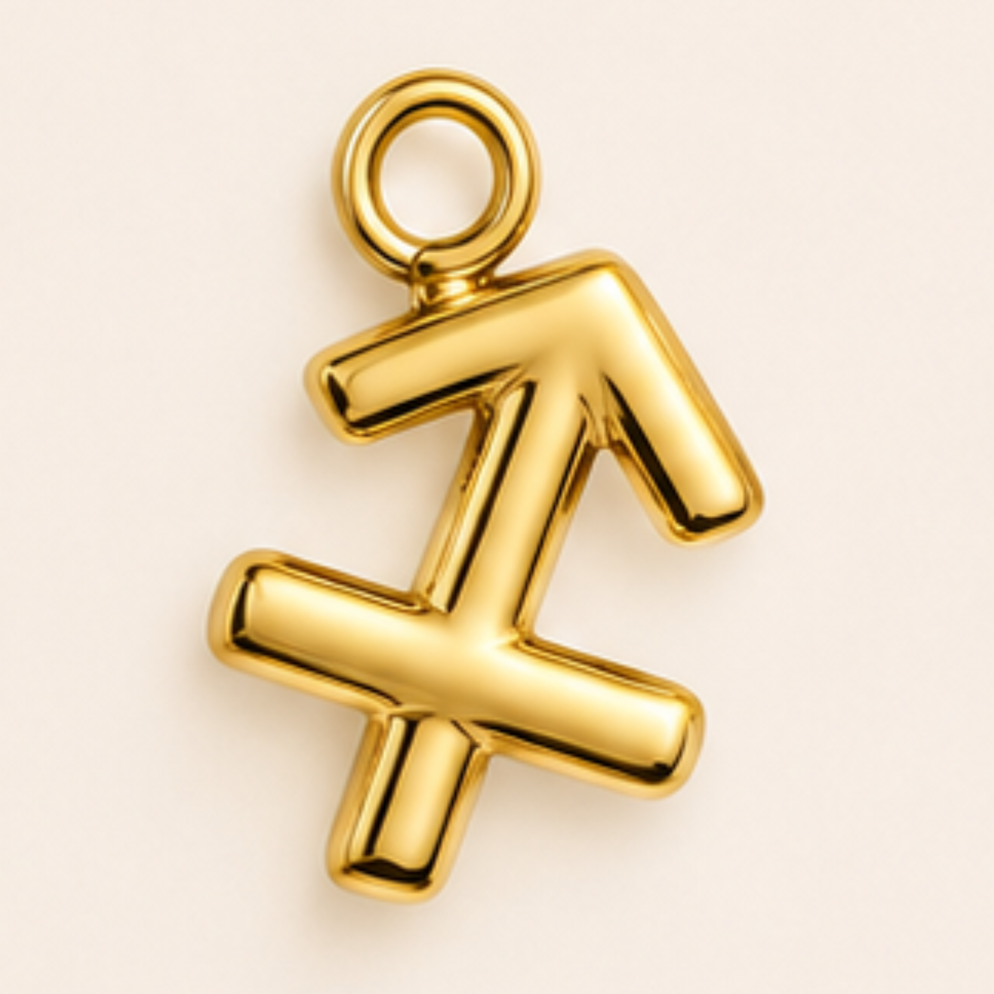 Zodiac Charms