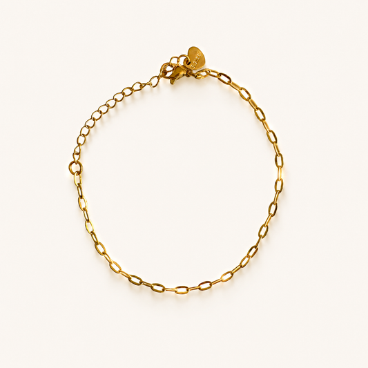 Fine Charm Bracelet